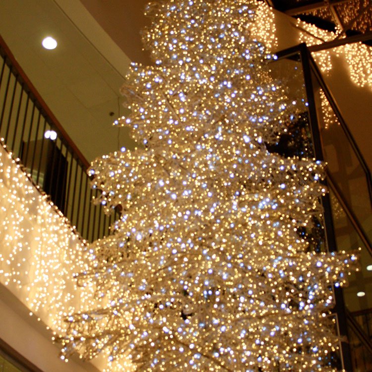 Gyldent julelys pryder et juletræ hængt fra loftet i Bruuns Galleri