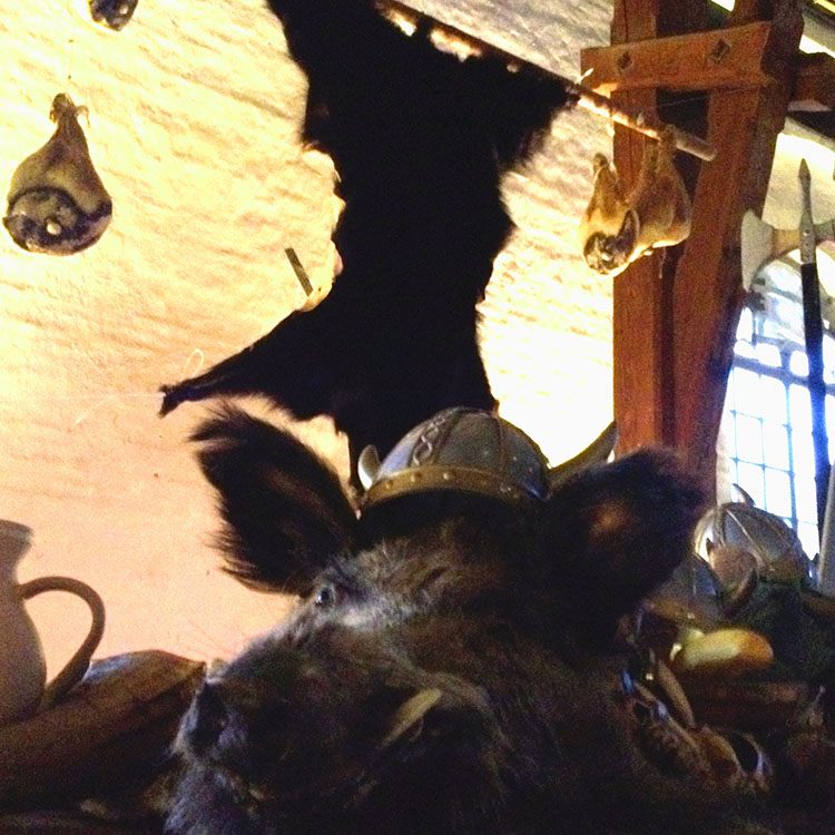 Et udstoppet vildsvin ligger på bordet med en vikingehjelm på hovedet 