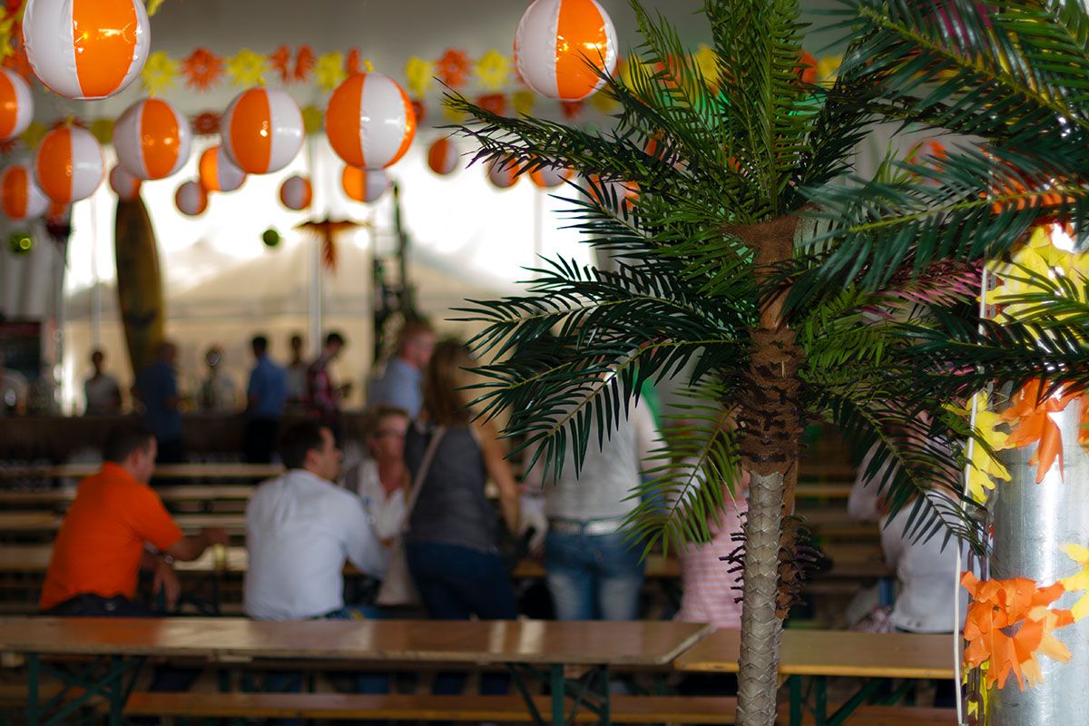 Denne mexicanske fest er pyntet med badebolde i loftet og palmer 