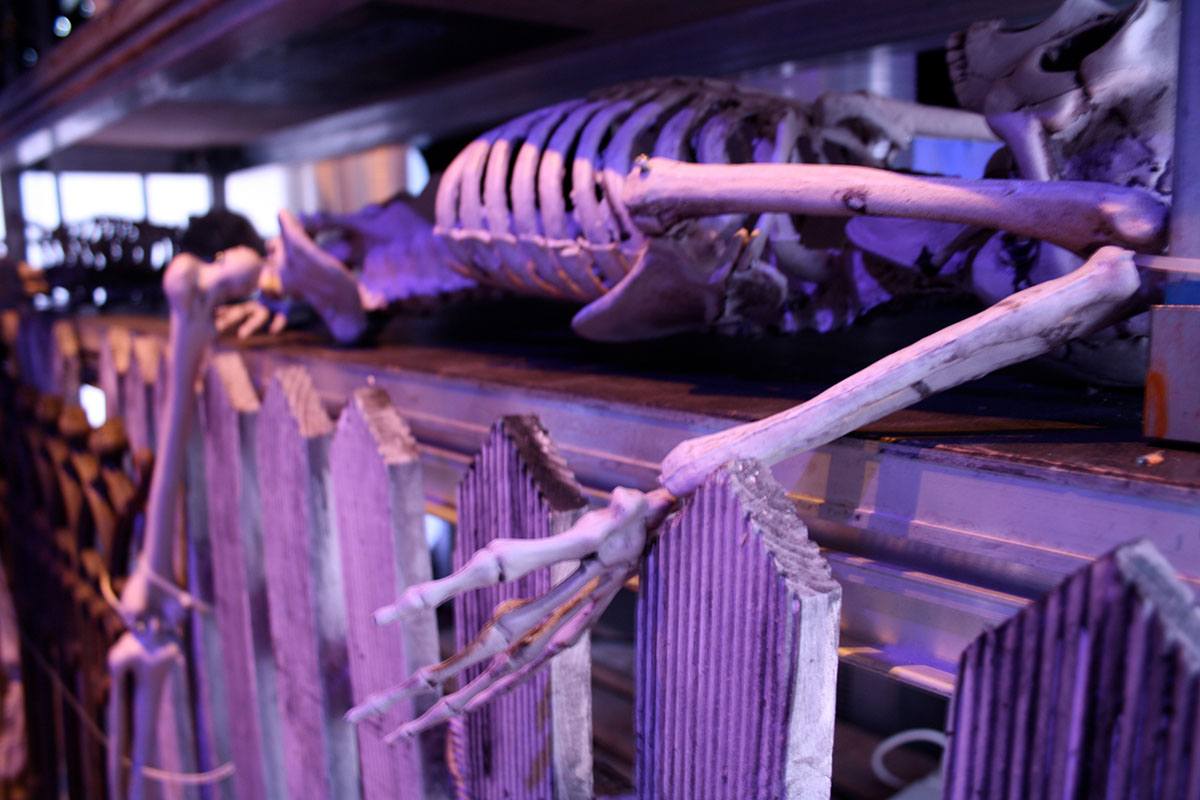 Her ses et skelet, der ligger under en scene med armen ud gæsterne 