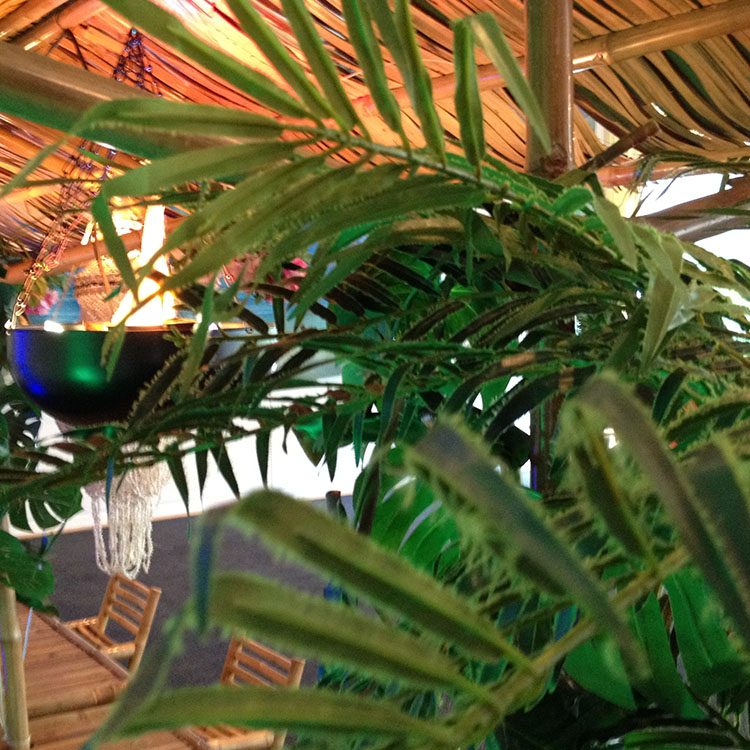 Grønne planter og palmer dekorerer rummet
