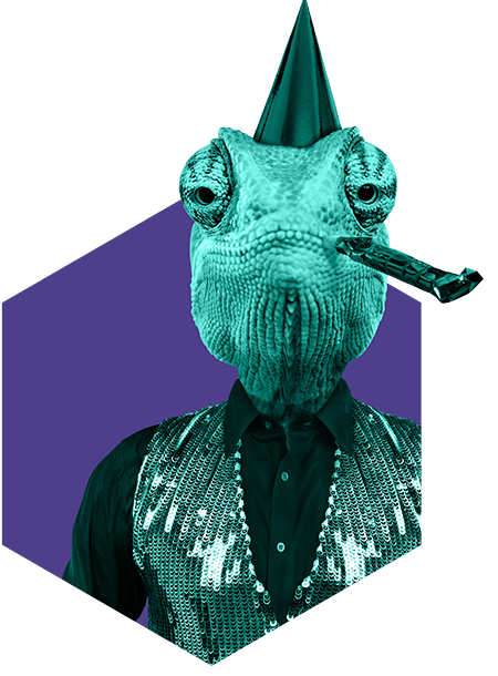 Rodkjær kamæleon med festhat