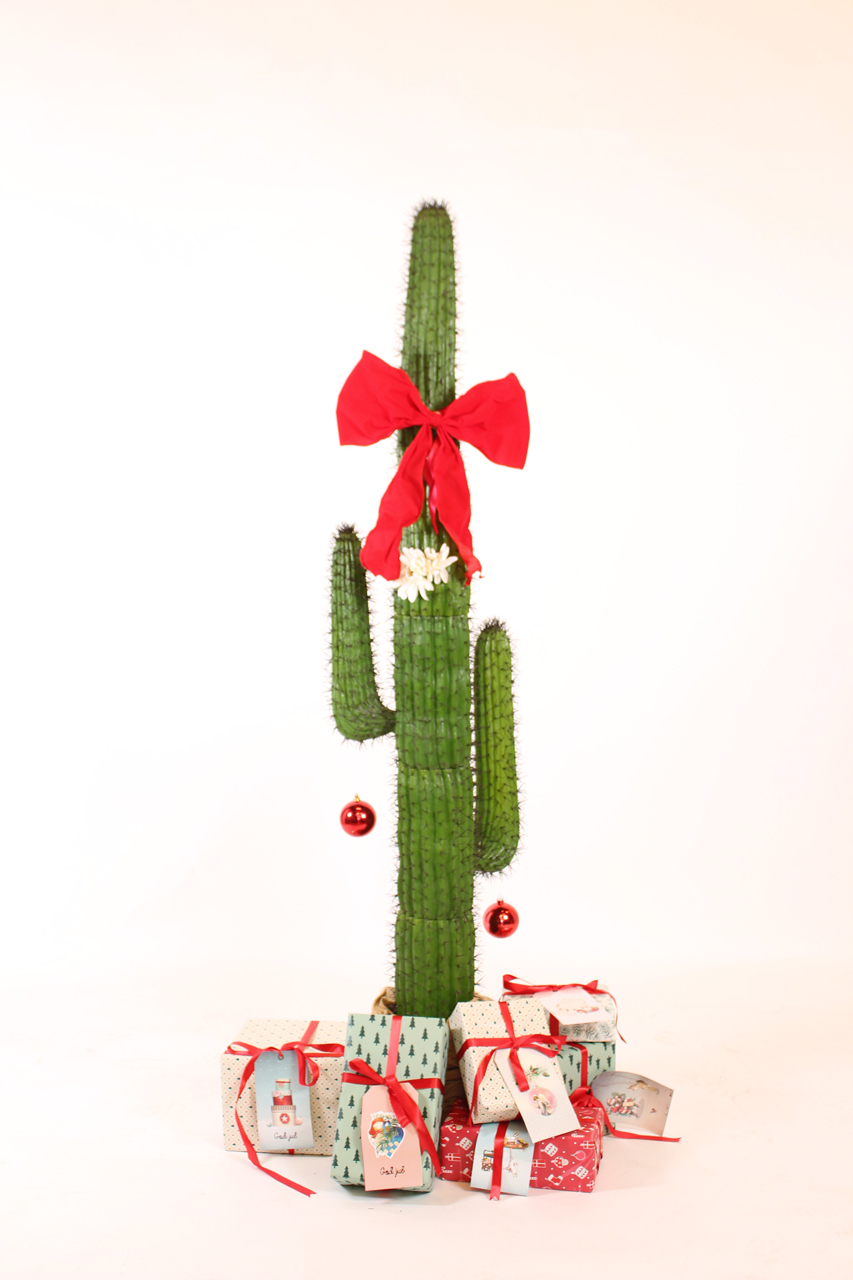 Kaktus, gaver, sløjfe, palmer, gran, jul