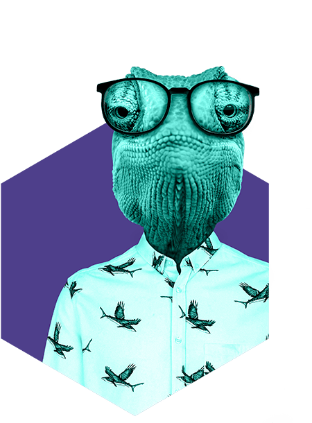 Rodkjærs kamæleon med briller