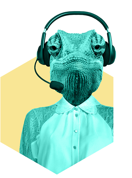 Rodkjærs kamæleon klar til planlægning med headset