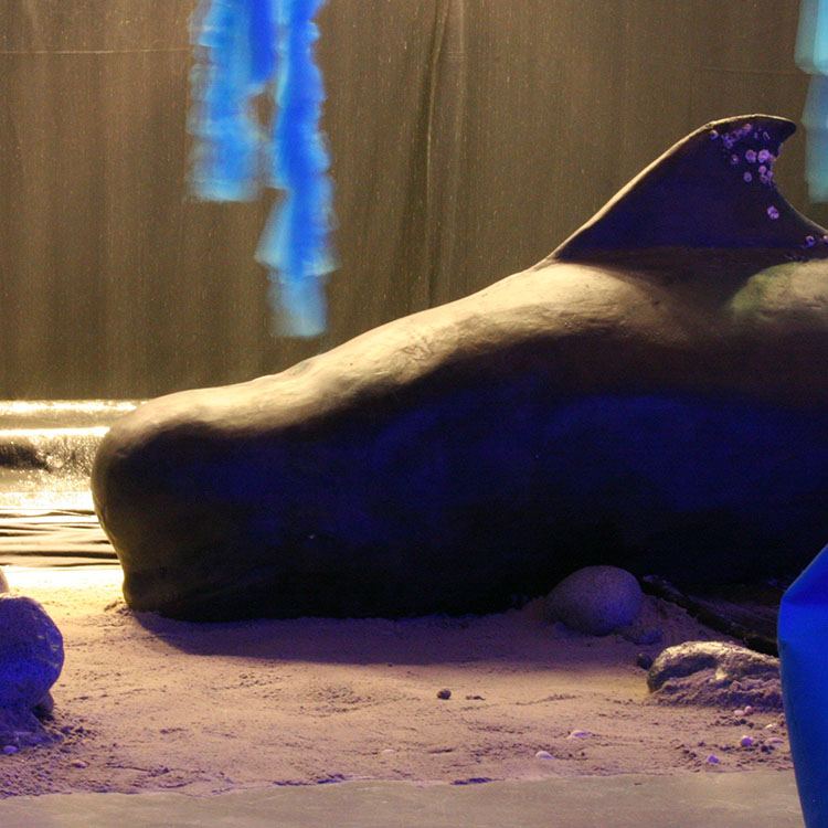 Rodkjær har specialfremstillet en hval, som ligger på gulvet omgivet af sand 