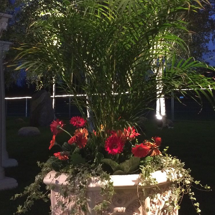 Store blomsterkummer er dekoreret med blomster og planter 