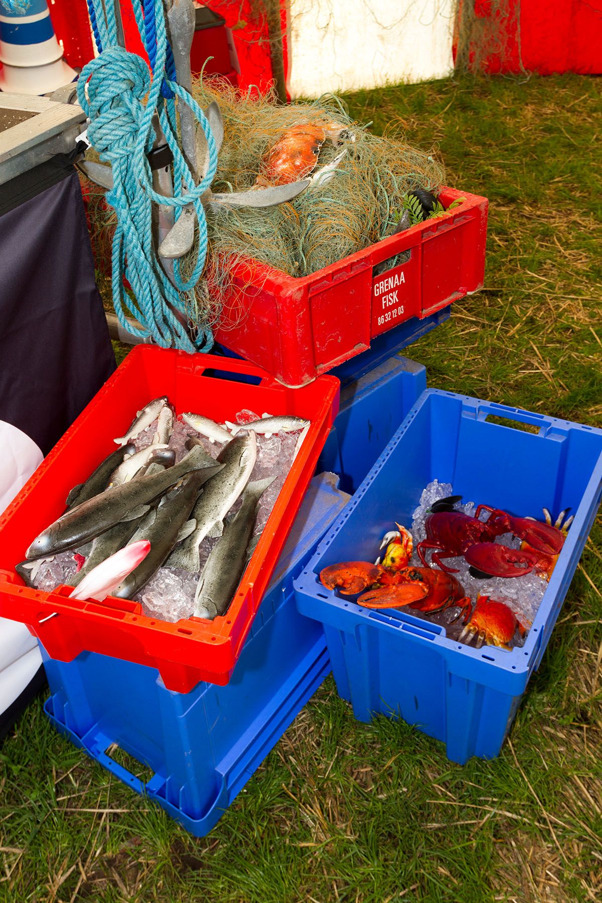 Plastikkasser er fyldt med fisk, hummer og fiskenet 