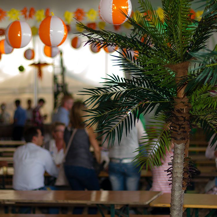 Denne mexicanske fest er pyntet med badebolde i loftet og palmer 