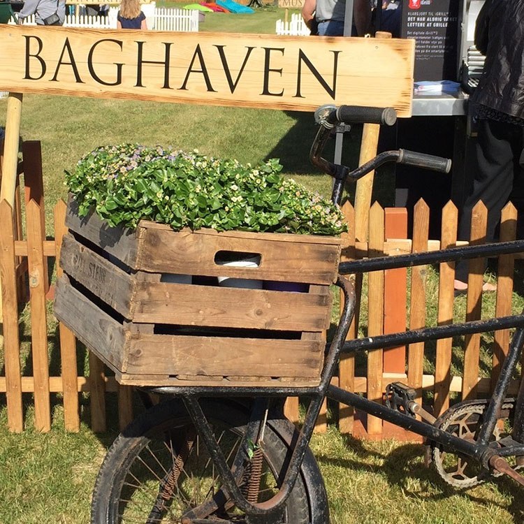 En gammel cykel står med en trækasse fyldt med blomster. Bag ved står et skilt, hvor på der står 'baghaven'