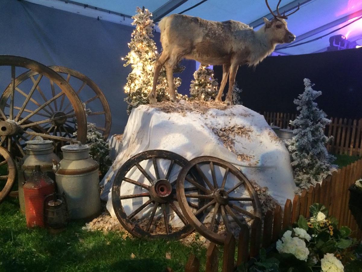 Rensdyr på snebakke som dekoration til Rodkjærs afterski-temafest